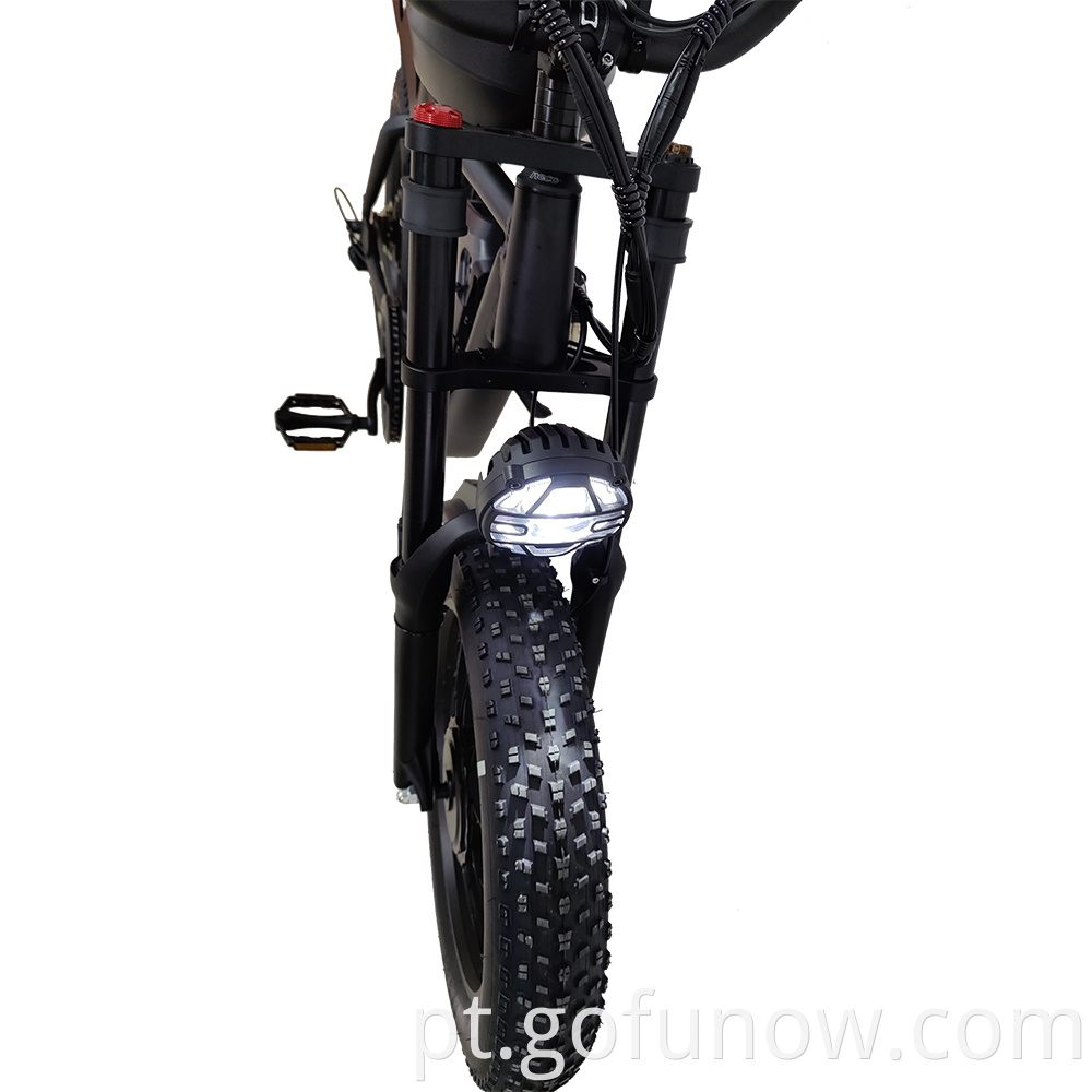 Bicicleta elétrica pneu gordo de 20 polegadas fora da estrada Ebike 1000W 48V 20AH Bicicleta elétrica montanhosa para adultos Ciclismo e bicicleta